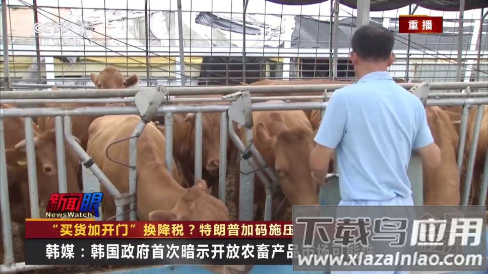 蓝光4K影视app手机版最新版截图2