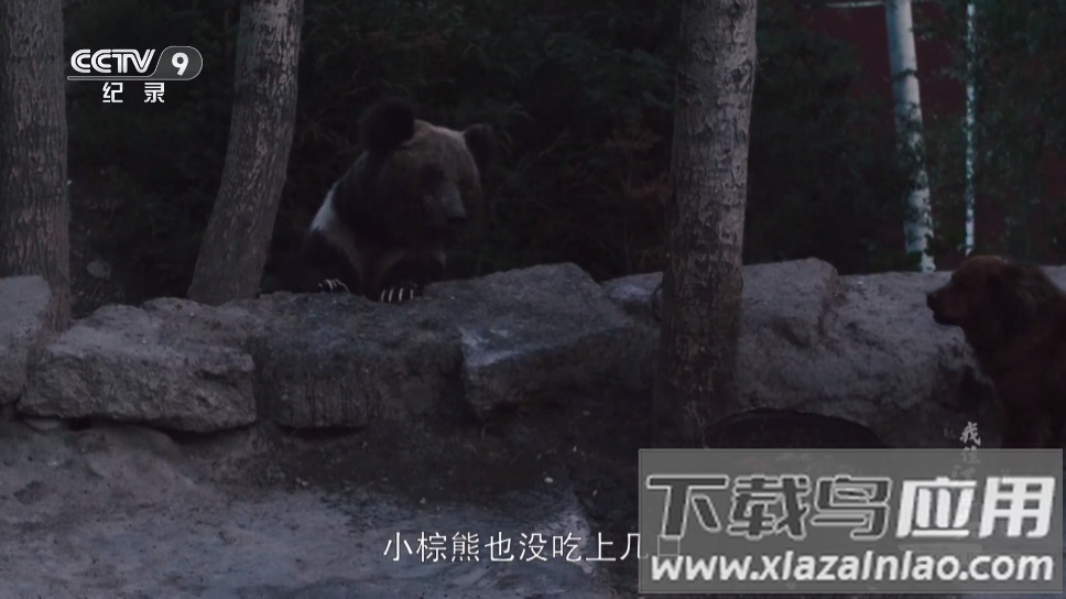 蓝光4K影视app手机版最新版截图4