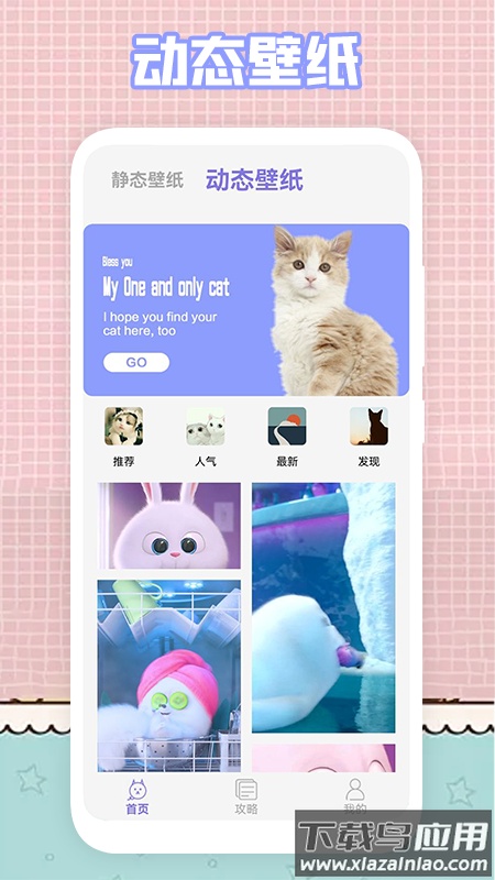 我的猫咪app最新版截图2