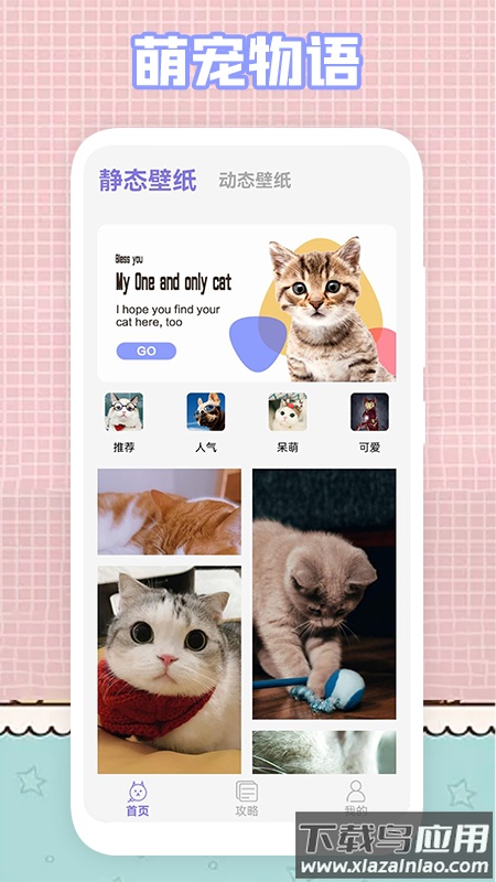 我的猫咪app最新版截图4