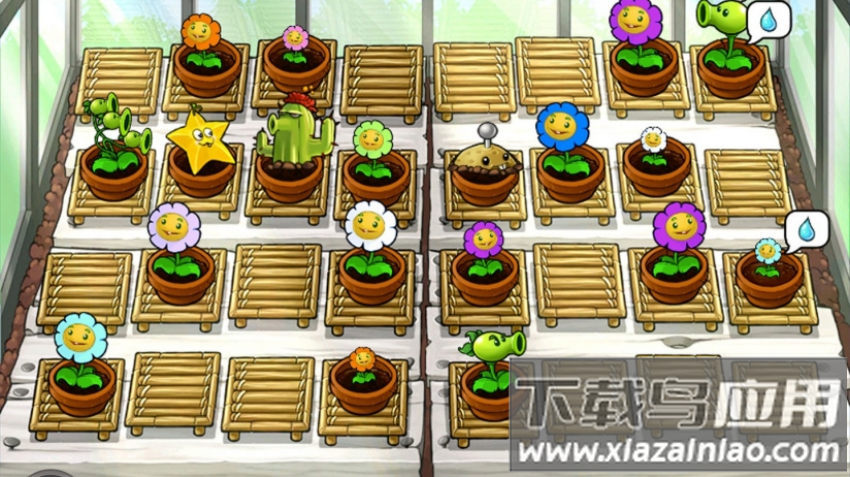 植物大战僵尸吃不了席版最新版截图2