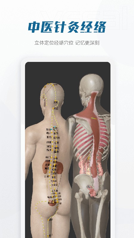 解剖大师免费版截图