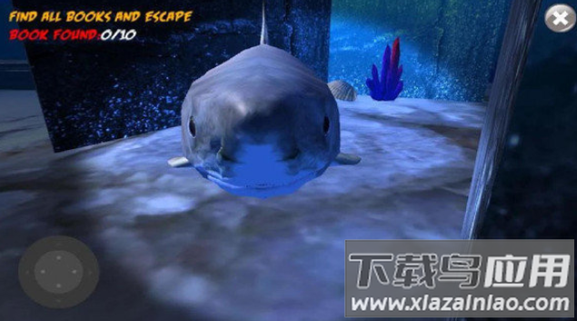 鲨鱼的恐怖袭击