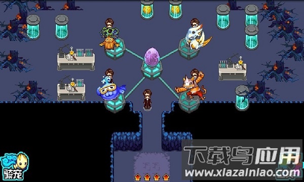 宠物王国5彩虹正版最新版截图1