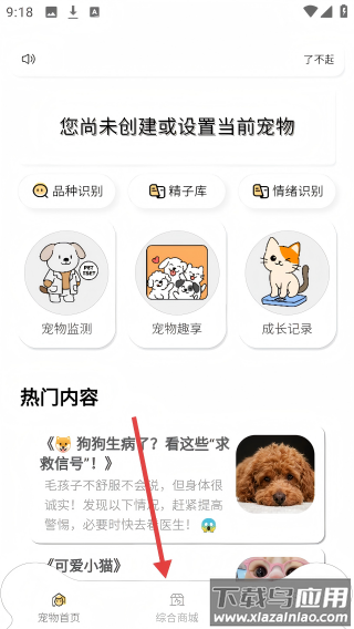 了不起的派特萌