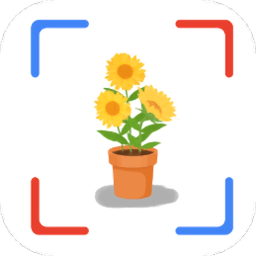 花朵识别app