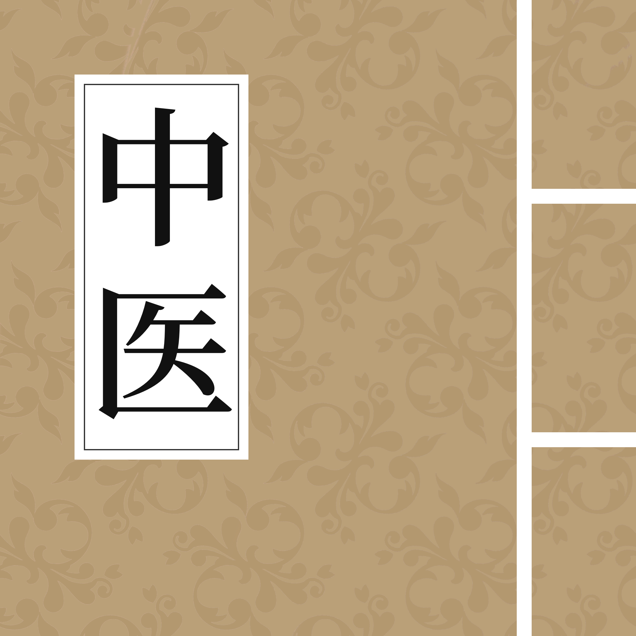 中医养生古籍大全