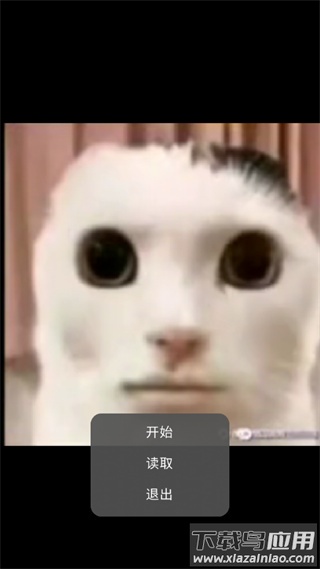 猫猫惊魂1.3游戏最新版下载最新版截图1