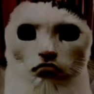 猫猫惊魂1.3游戏最新版下载