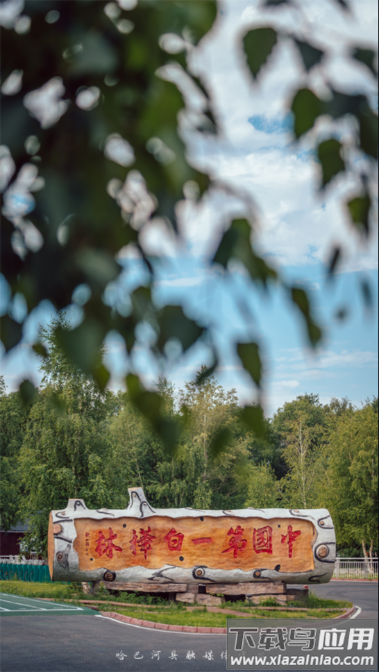 哈巴河好地方APP最新版截图4