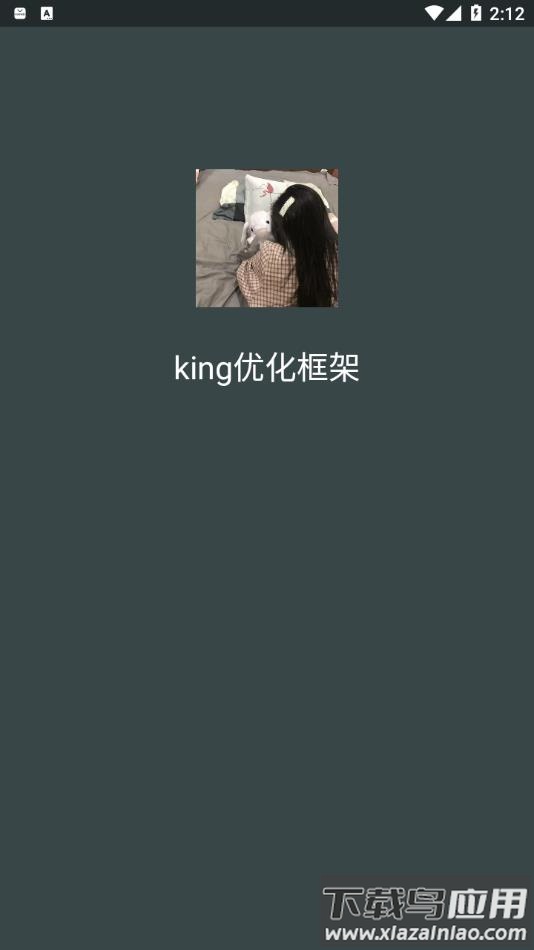king国体框架下载安装最新版截图1
