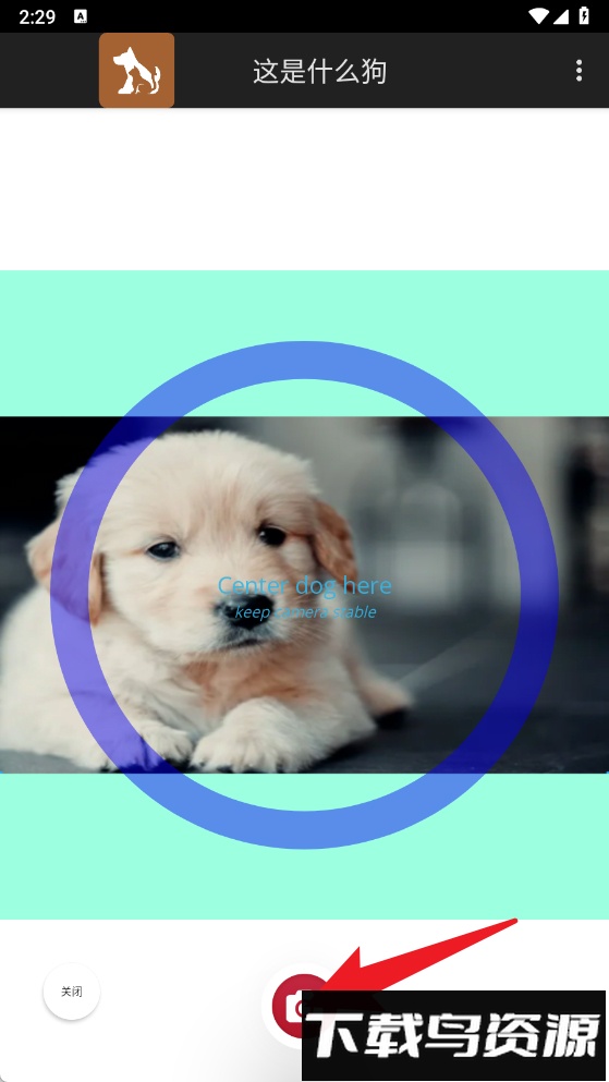 这是什么狗软件