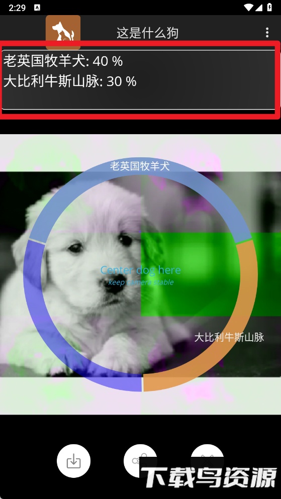 这是什么狗软件