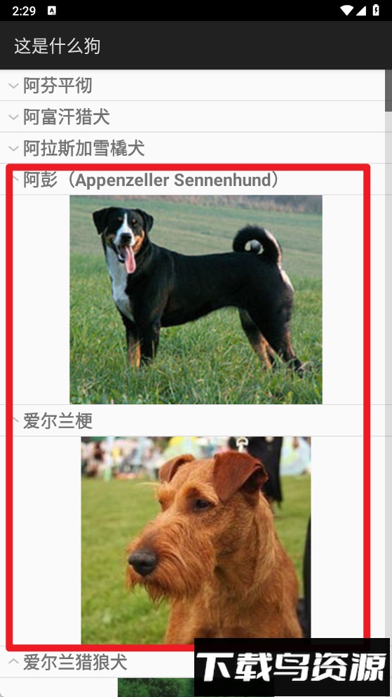 这是什么狗软件