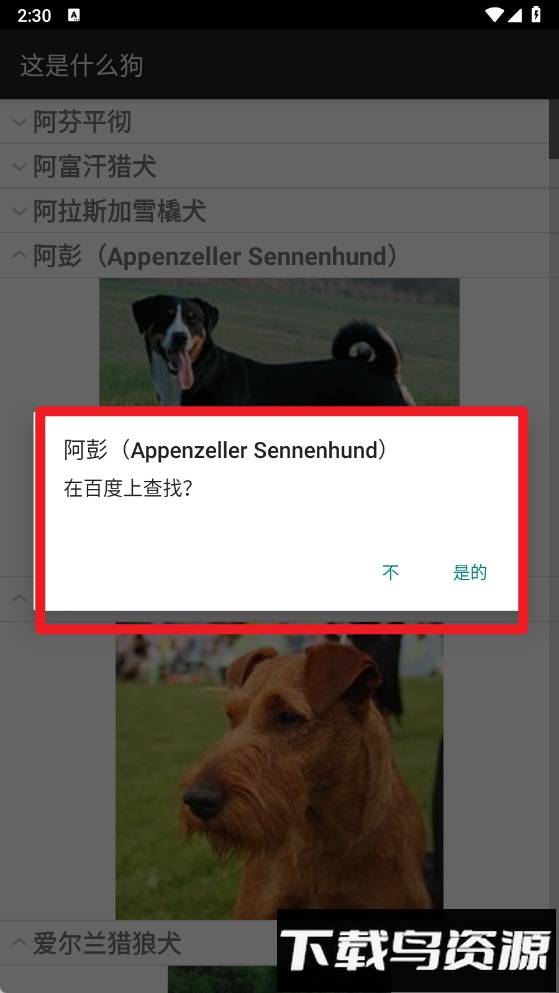 这是什么狗软件