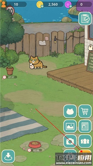 神秘猫咪字典下载最新版最新版截图4