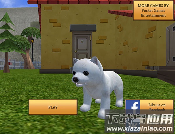 美国zoom动物手游官方版