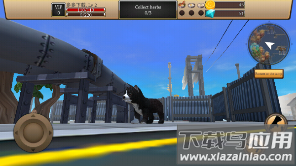 美国zoom动物农场