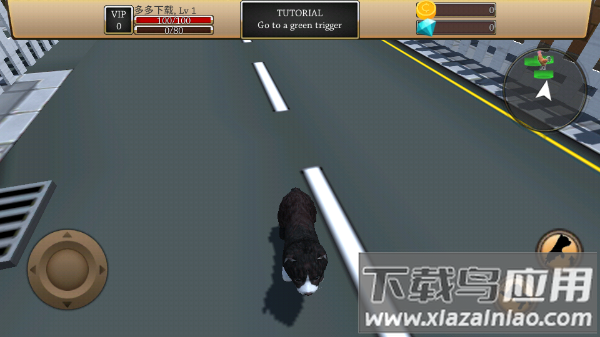 美国zoom动物农场