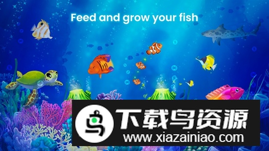 飞溅鱼类保护区游戏中文版最新版截图3