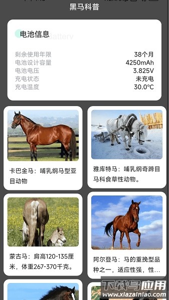 黑马充电软件最新版截图2