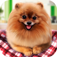 宠物狗生活模拟游戏