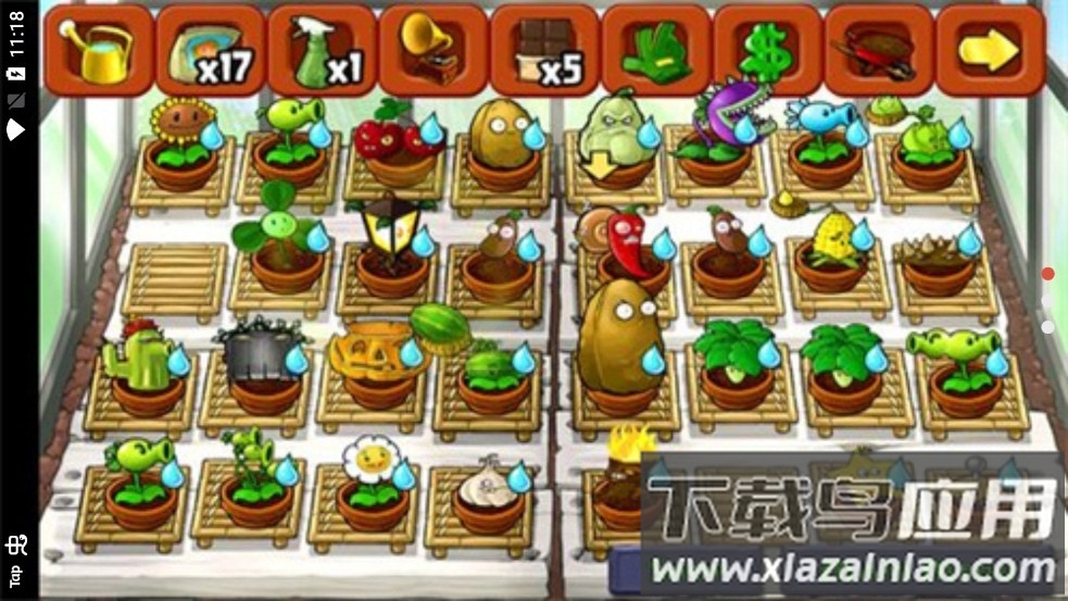 植物大战僵尸北美XI版截图3