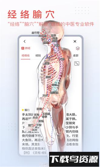 运动功能解剖教学系统手机版最新版截图2