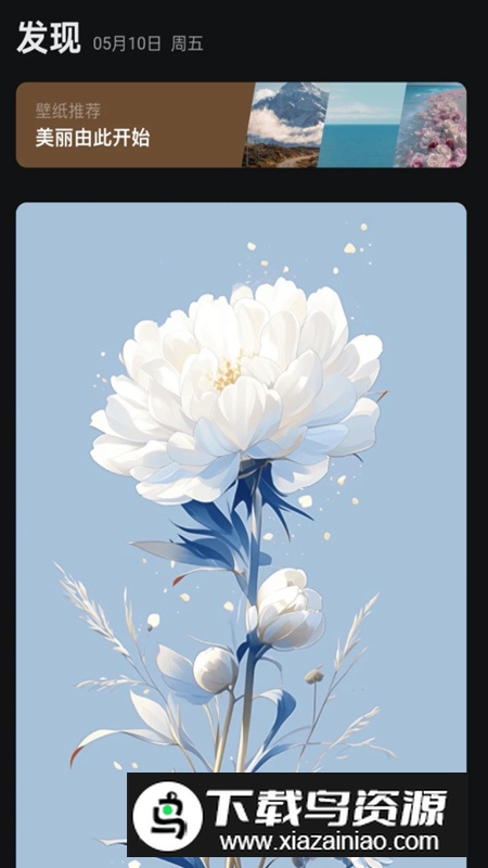 阿讦壁纸app最新版最新版截图1