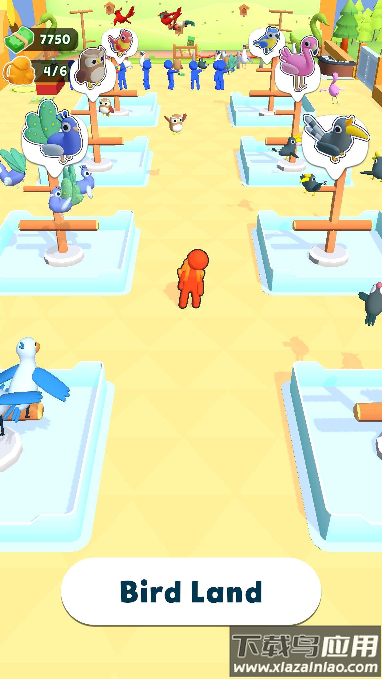 养鸟大亨Bird Land最新版截图2