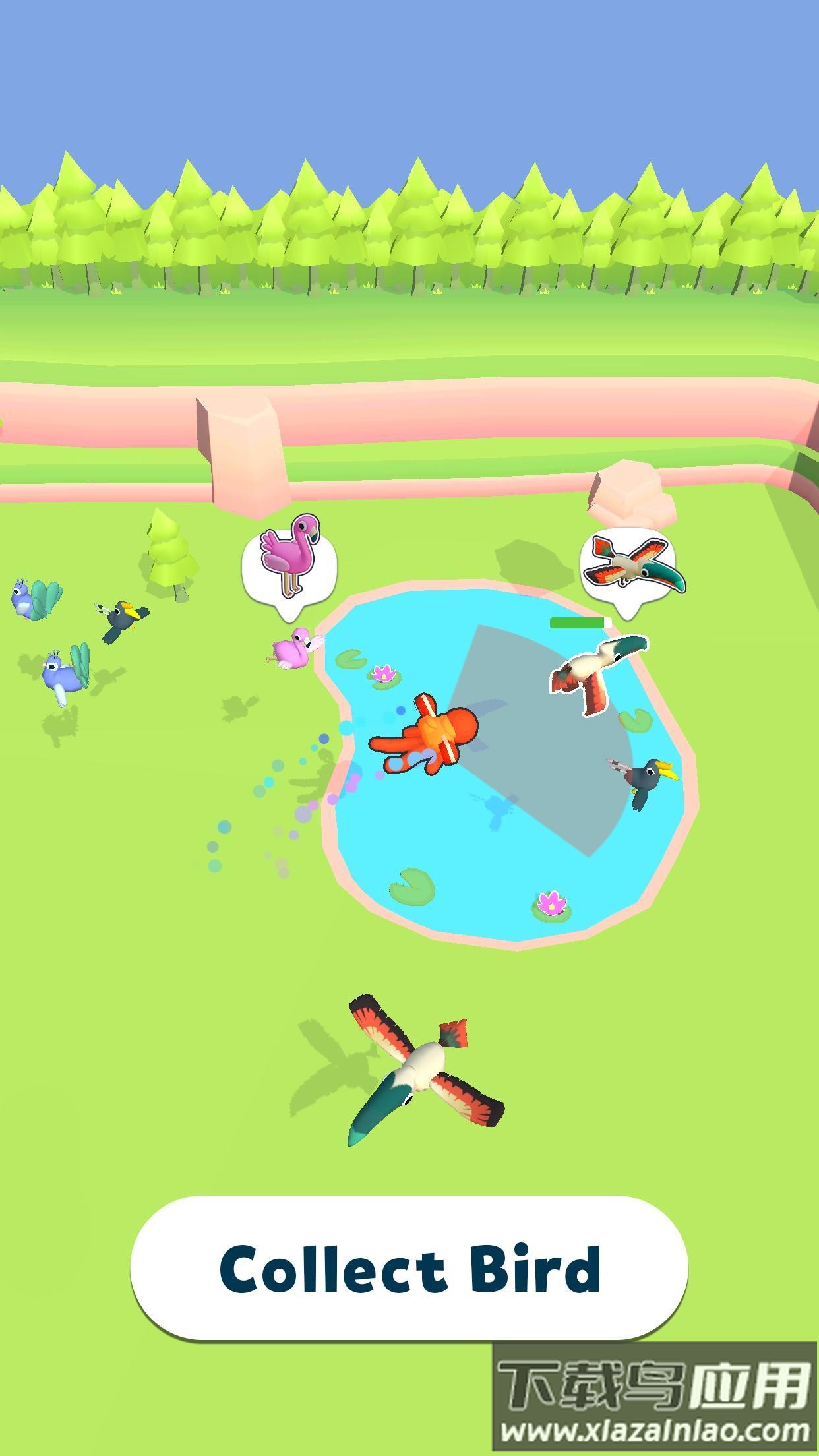 养鸟大亨Bird Land最新版截图3