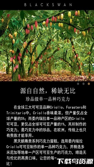 黑天鹅蛋糕官方版最新版截图2