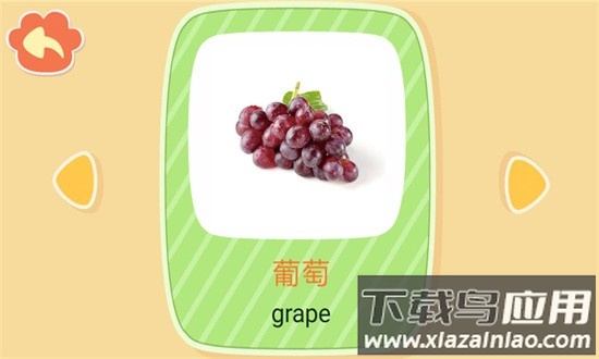 亲亲熊识字最新版最新版截图4