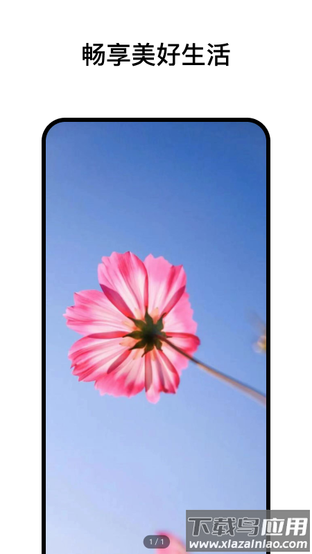 阅小花app最新版截图3