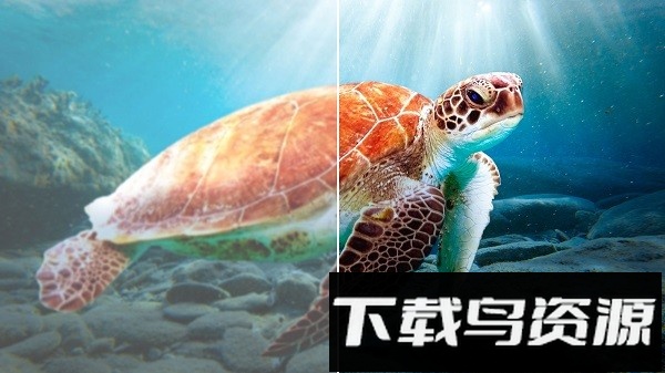 迅雷云盘tv版最新版最新版截图1