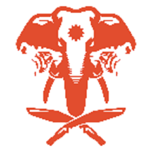 孤岛惊魂4竞技场之王(fc4 Arena)