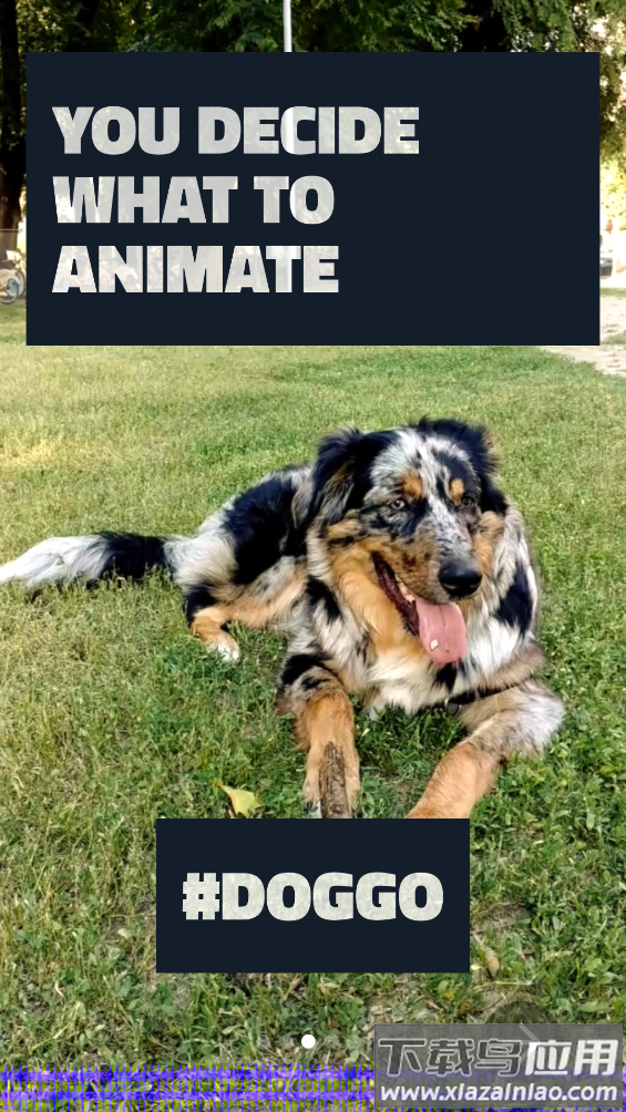 Loopsie app最新版截图3