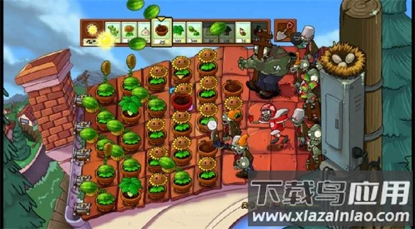 植物大战小桃子家族TV版