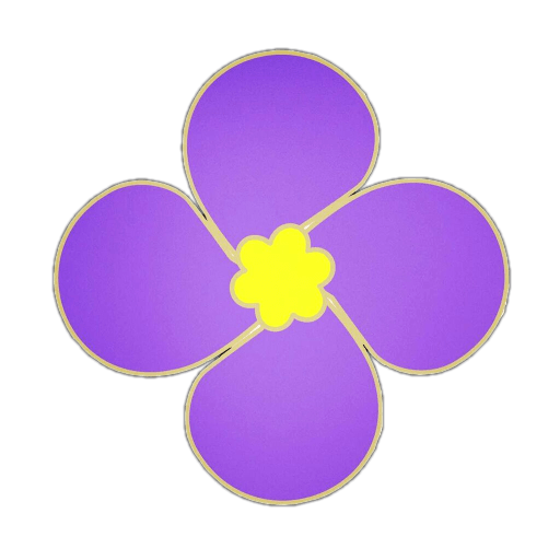 紫金草视频app最新版