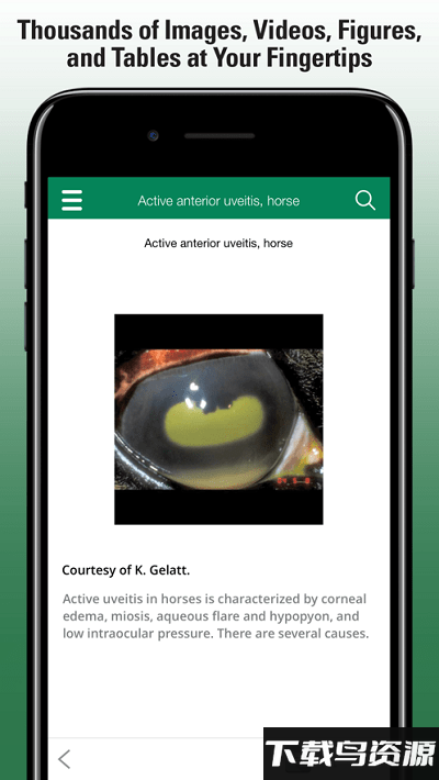 默沙东诊疗手册兽医版app(msd vet manual)最新版截图2