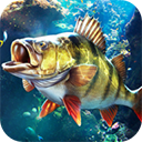 欢乐钓鱼大师破解版