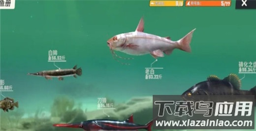 欢乐钓鱼大师无限金币钻石版