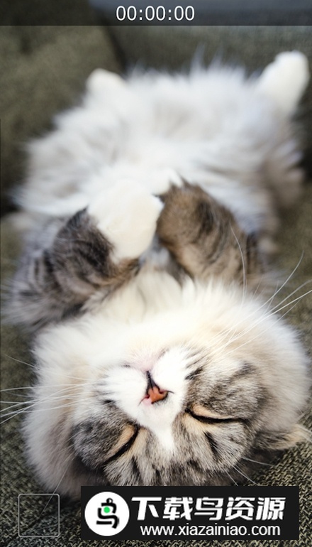 静音摄影机app免费版最新版截图1