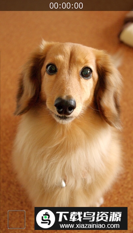 静音摄影机app免费版最新版截图3