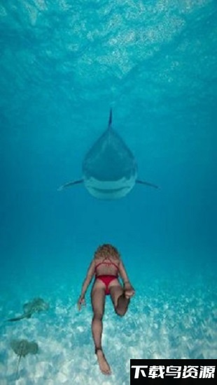 鲨鱼大冒险最新版最新版截图1