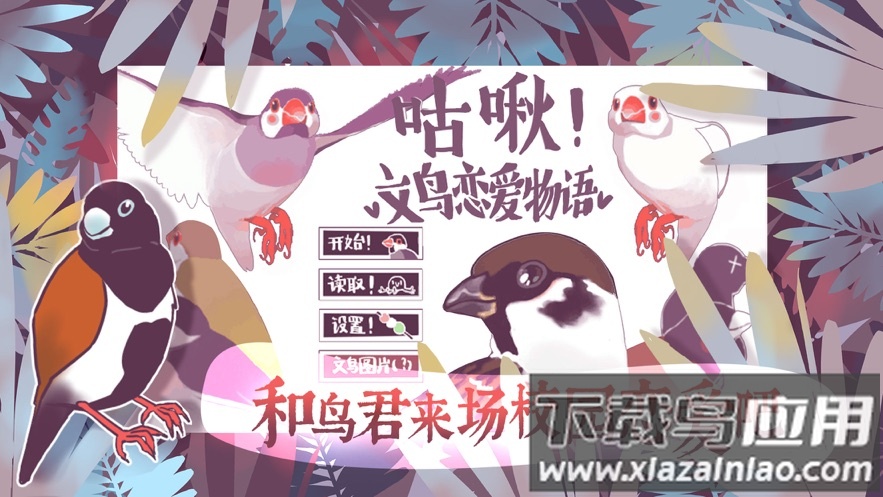 文鸟恋爱物语下载完整版最新版截图3