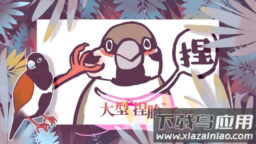 文鸟恋爱物语下载完整版最新版截图4