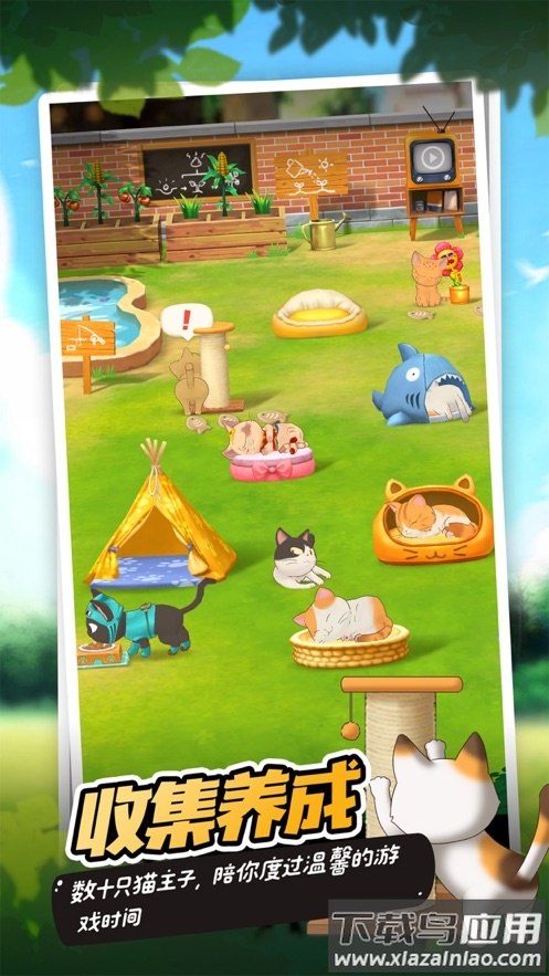 猫语咖啡官方下载最新版截图2