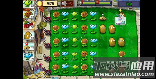 植物娘大战僵尸庄不纯