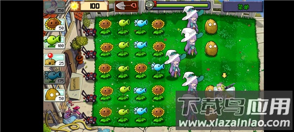 植物娘大战僵尸庄不纯截图3
